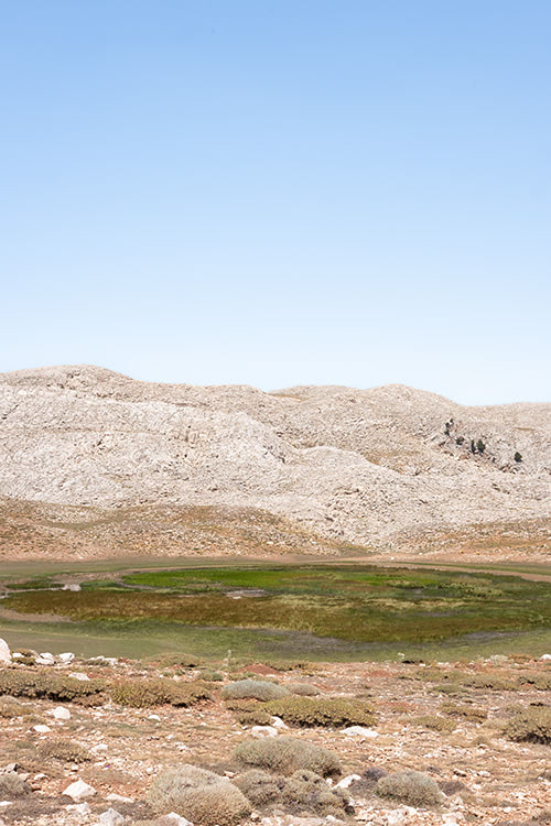 Blick von Hochebene auf Feuchtwiese und Berge im Hintergrund